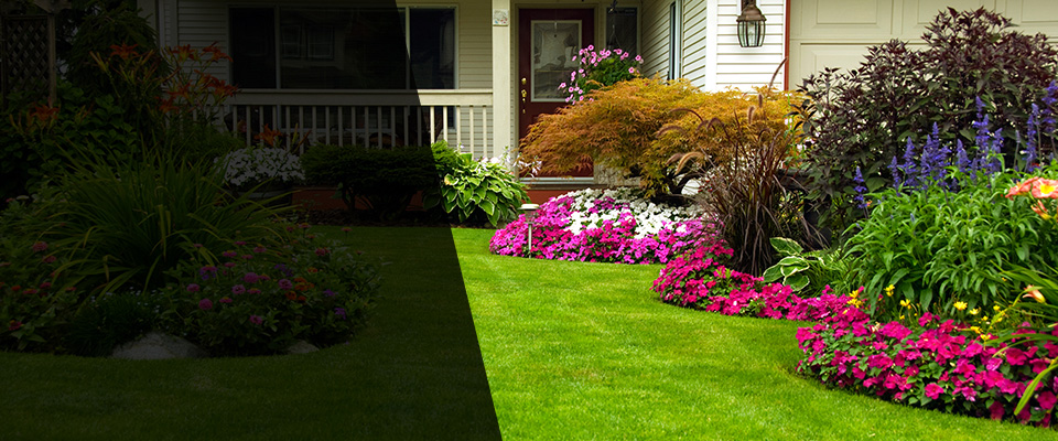 Double Springs Landscapers
