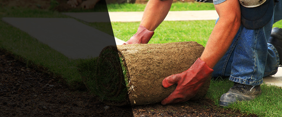 Double Springs Landscapers